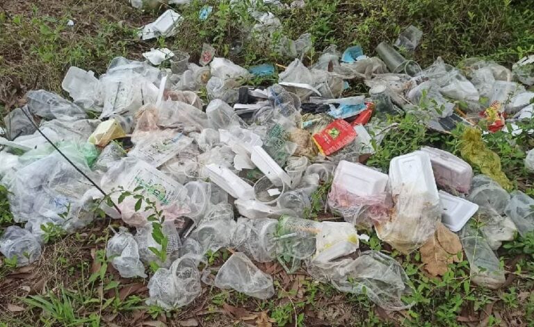 1_1-Plastic waste